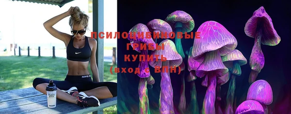 бошки Алексеевка
