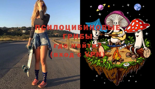 круглые Алзамай
